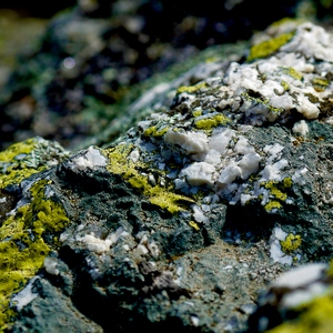 Gros plan d'une pierre colorée de blanc et de vert - France  - collection de photos clin d'oeil, catégorie clindoeil